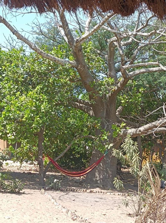 Kafountine Naturubuntu מראה חיצוני תמונה