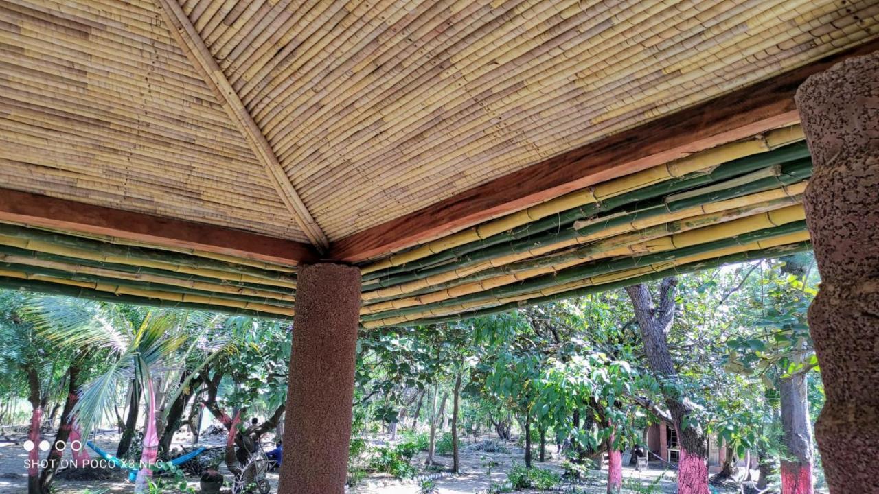 Kafountine Naturubuntu מראה חיצוני תמונה