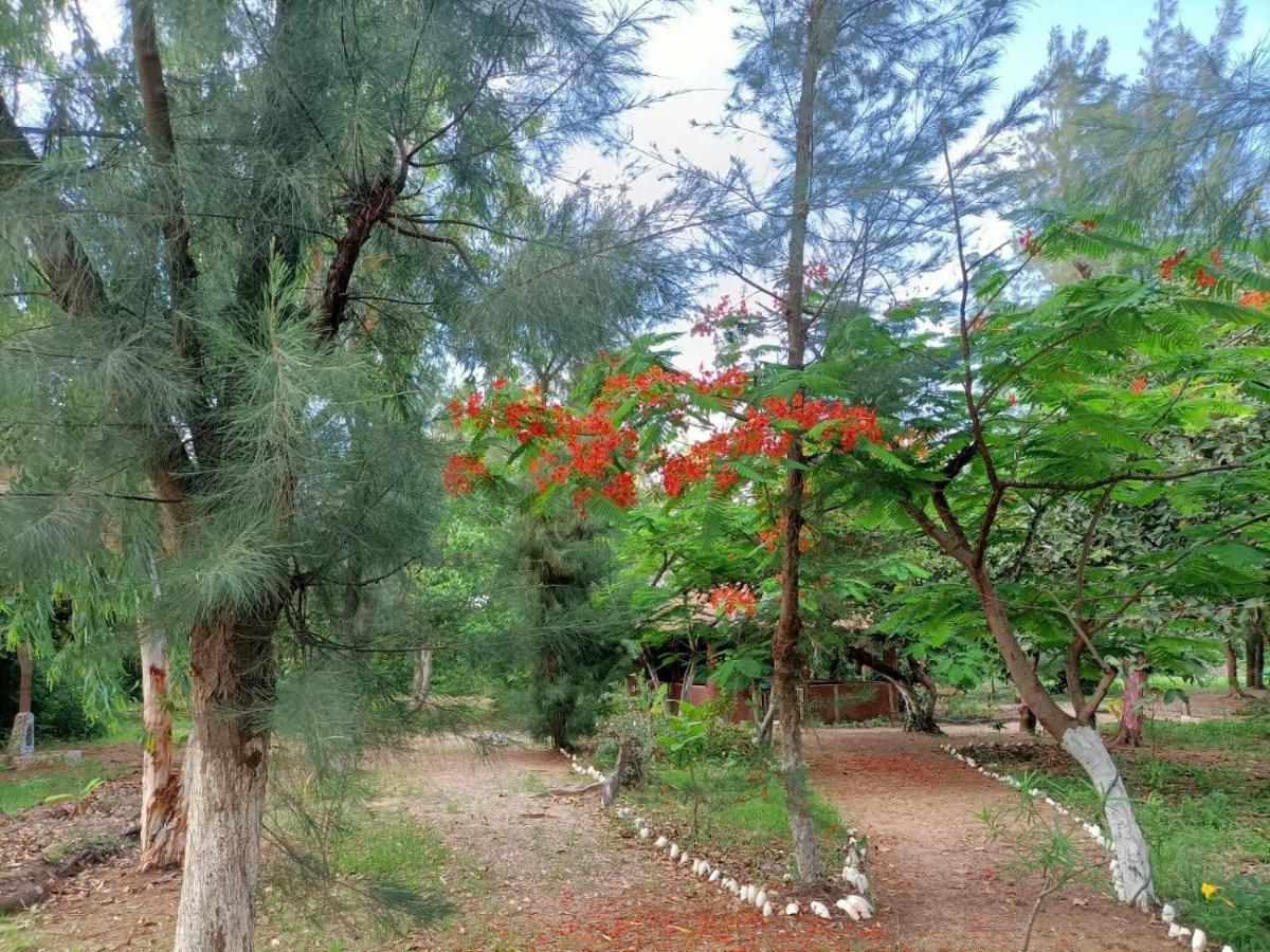 Kafountine Naturubuntu מראה חיצוני תמונה