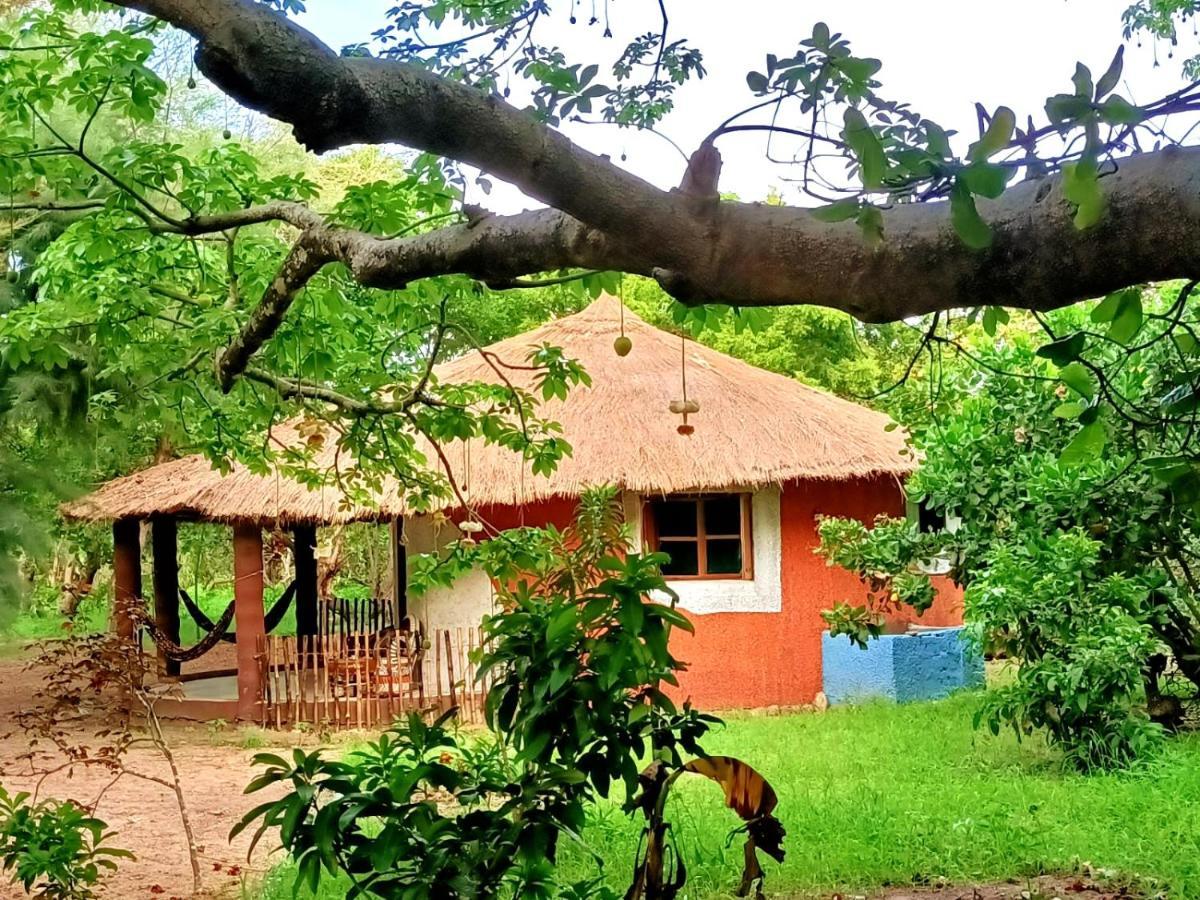 Kafountine Naturubuntu מראה חיצוני תמונה